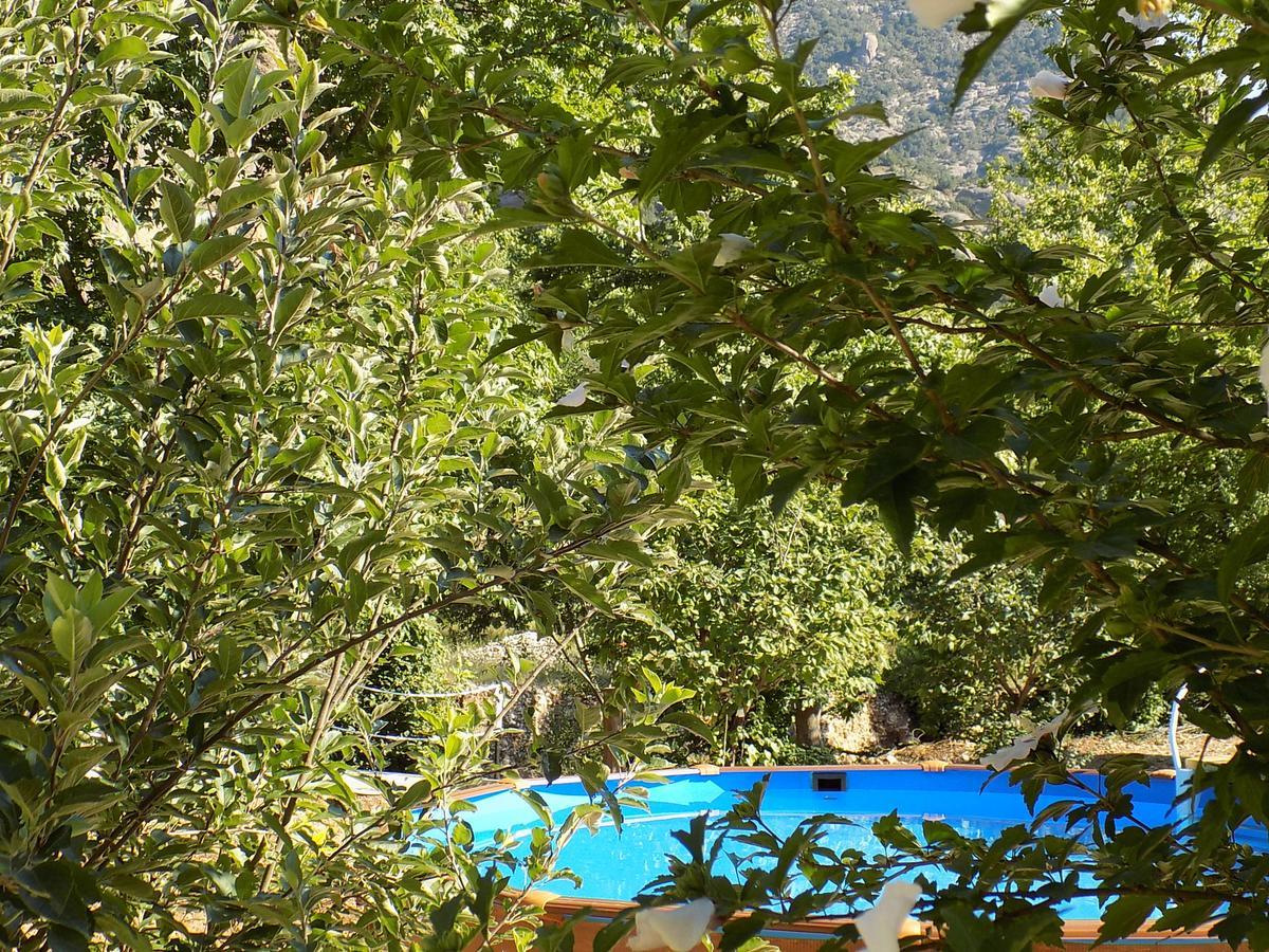 Guesthouse Eleftherios Kalavryta Exterior foto